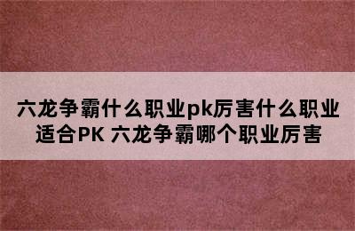 六龙争霸什么职业pk厉害什么职业适合PK 六龙争霸哪个职业厉害